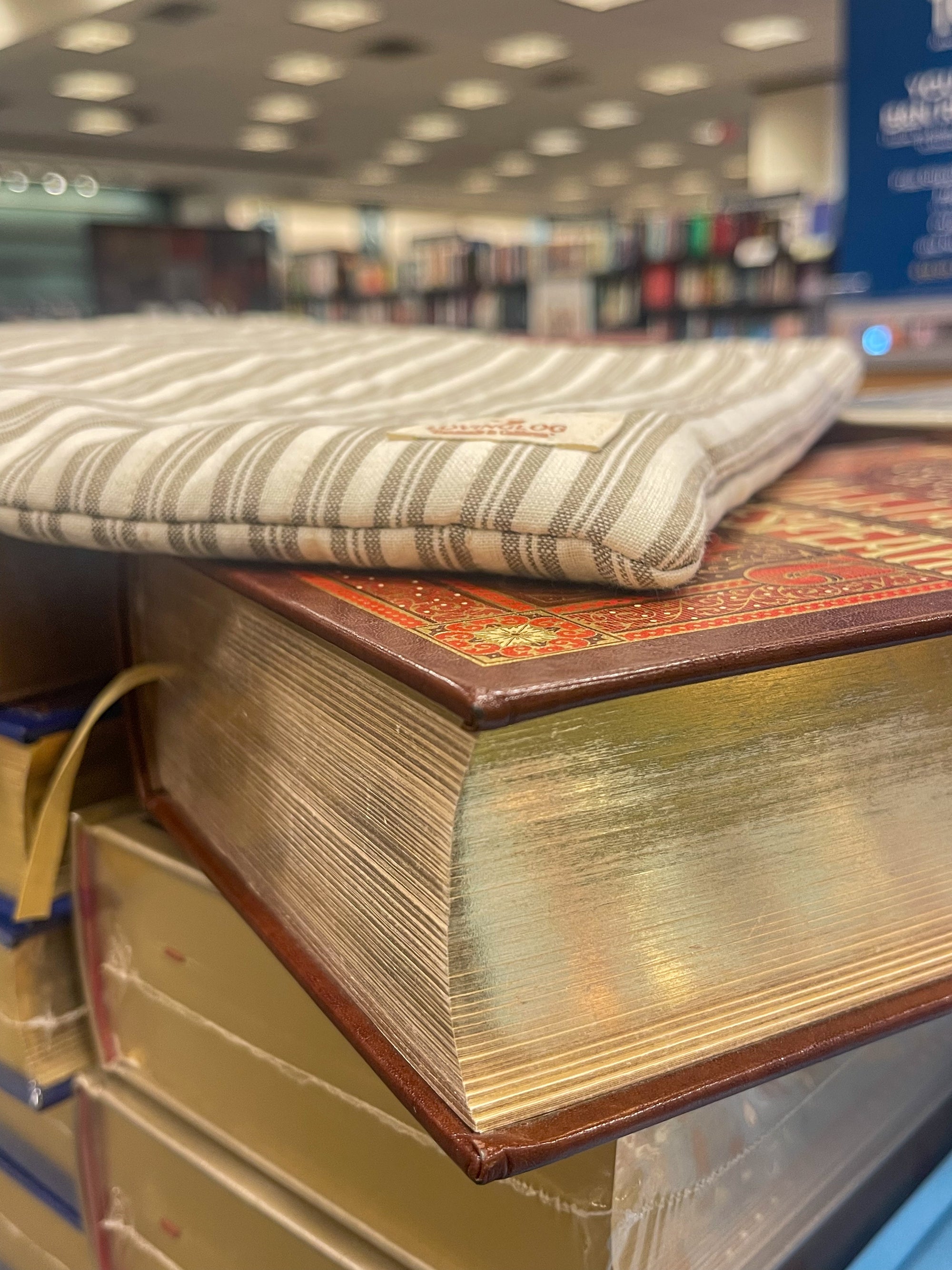 Large Book Sleeve - Tan Daisy